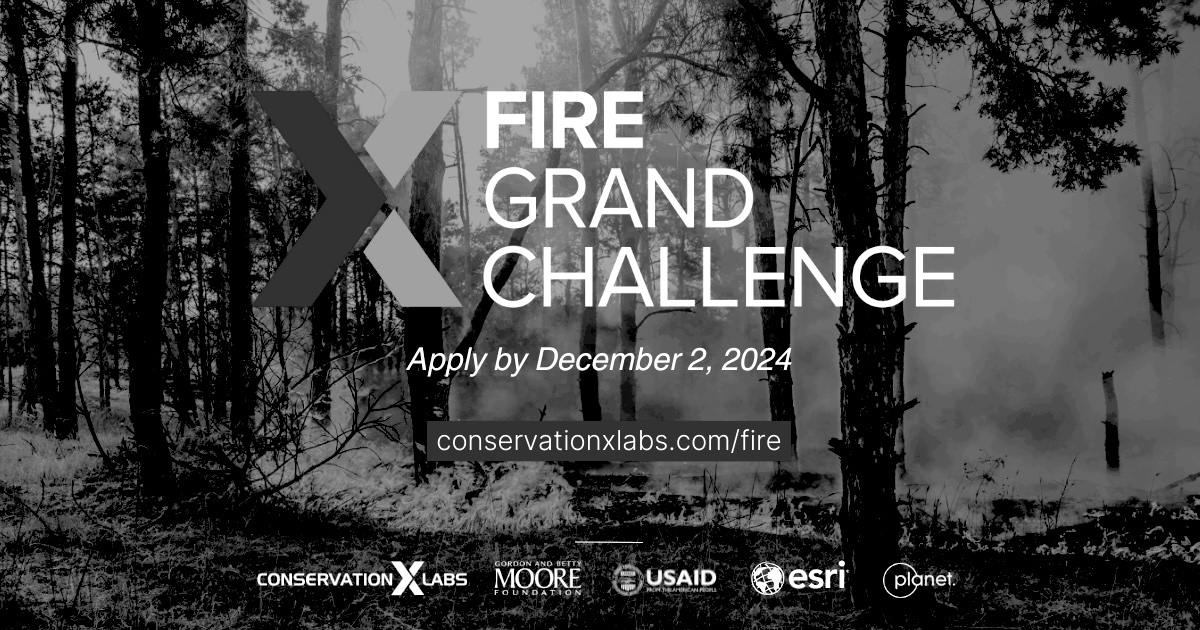 Panarchic Codex® tweet media