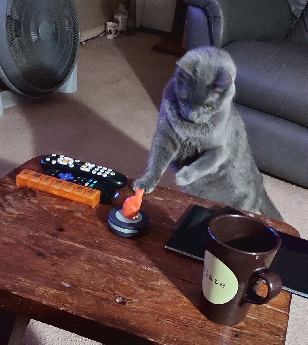 Da Bruizzerz (@blutospin) on Twitter photo Looky here <a href="/mhmelbourne/">Penny, Sam #RIPMrTibbs/Minnie๐ ๐ฟ๐๐ฏ๏ธ</a> ! I iz fixing to give thiz a good wack ! ๐คฃ๐โโฌ๐ #CatsOfTwitter <a href="/TeddyTedaloo/">Teddy Tedaloo</a> <a href="/irisesther54/">Iris Esther Lรณpez RIP Pixie ๐</a> <a href="/3coolkatz/">KAL #RIP Pixie ๐</a> <a href="/badpiratemonkey/">(((kid yid & her jew dog)))</a> <a href="/belbaer/">Gregory Thetmeyer</a> <a href="/TeddysFamiwy/">The Teddy #BeMoreToddy</a> <a href="/fluffybasil/">Teddy, Pumpkin Pie & Magic</a> <a href="/MoetBlindCat/">Moet the Blind Cat</a> <a href="/BengalPandora/">Pandora the Warrior #ZSHQ</a> <a href="/BraveWinston/">Lord Billy, nephew of FF Winston ๐ son of Bruv ๐</a> <a href="/MillieOTLFP/">Millie๐พ๐D๐#oneforallandallformillie ๐พ๐</a> <a href="/Pixie_Tooth/">Pixie Tooth ๐๐</a> <a href="/PicklesBottom/">PicklesBottom ๐ #BelieveInTzuKingdom #BeKind ๐</a> <a href="/henryandfriends/">Henry</a> Looky here <a href="/mhmelbourne/">Penny, Sam #RIPMrTibbs/Minnie๐ ๐ฟ๐๐ฏ๏ธ</a> ! I iz fixing to give thiz a good wack ! ๐คฃ๐โโฌ๐ #CatsOfTwitter <a href="/TeddyTedaloo/">Teddy Tedaloo</a> <a href="/irisesther54/">Iris Esther Lรณpez RIP Pixie ๐</a> <a href="/3coolkatz/">KAL #RIP Pixie ๐</a> <a href="/badpiratemonkey/">(((kid yid & her jew dog)))</a> <a href="/belbaer/">Gregory Thetmeyer</a> <a href="/TeddysFamiwy/">The Teddy #BeMoreToddy</a> <a href="/fluffybasil/">Teddy, Pumpkin Pie & Magic</a> <a href="/MoetBlindCat/">Moet the Blind Cat</a> <a href="/BengalPandora/">Pandora the Warrior #ZSHQ</a> <a href="/BraveWinston/">Lord Billy, nephew of FF Winston ๐ son of Bruv ๐</a> <a href="/MillieOTLFP/">Millie๐พ๐D๐#oneforallandallformillie ๐พ๐</a> <a href="/Pixie_Tooth/">Pixie Tooth ๐๐</a> <a href="/PicklesBottom/">PicklesBottom ๐ #BelieveInTzuKingdom #BeKind ๐</a> <a href="/henryandfriends/">Henry</a>