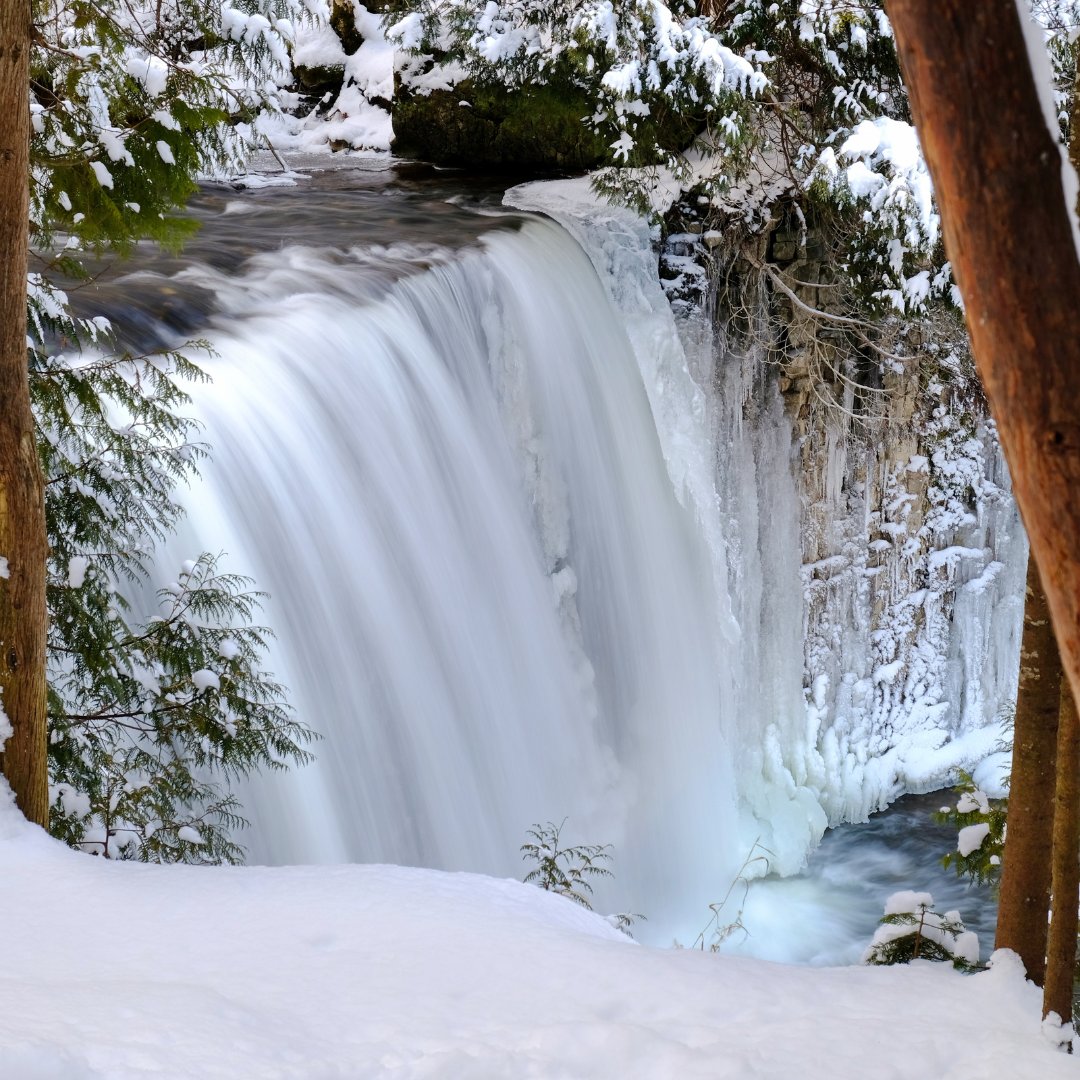 The Bruce Trail Conservancy staff would like to wish you and yours a happy holiday season!🎄 The Bruce Trail Conservancy head office will be closing at 11:30 am on December 24 and will open again at 9 am on January 6. See you on the Trail in 2025!🎆 

📸 Martin Lamprecht