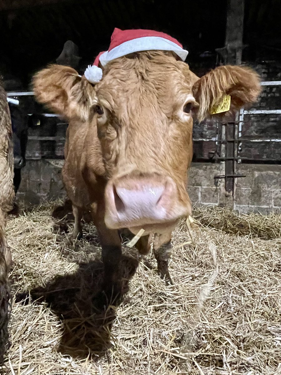 Wishing all of our followers, customers, visitors, neighbours and friends a very Merry Christmas 🎅.

We hope you all have a wonderful time over the festive period.

Best wishes,

John, Linda and David Hildreth