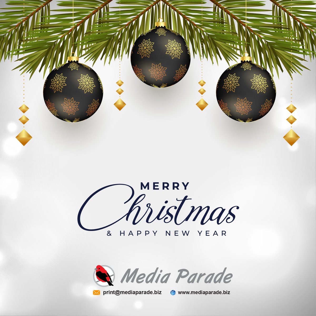 mediaparadeug's tweet photo. https://t.co/AJhQsNR4D0