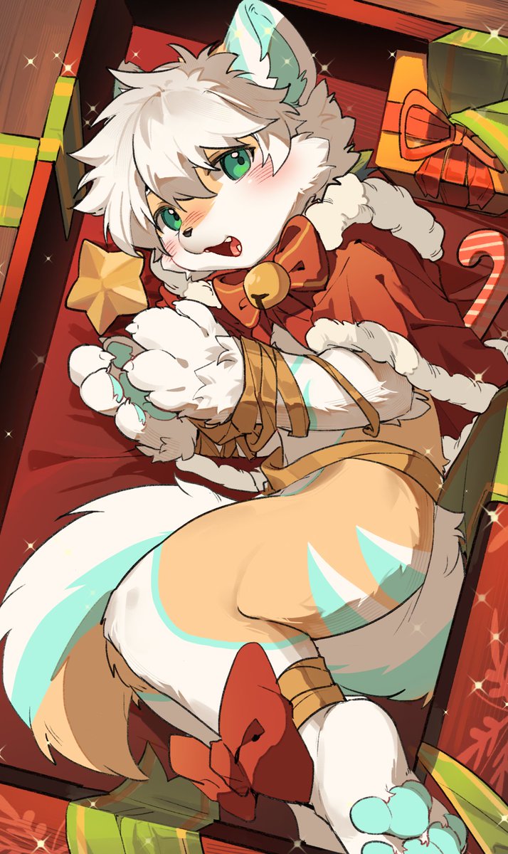 枫鸢🔜byefurry tweet media