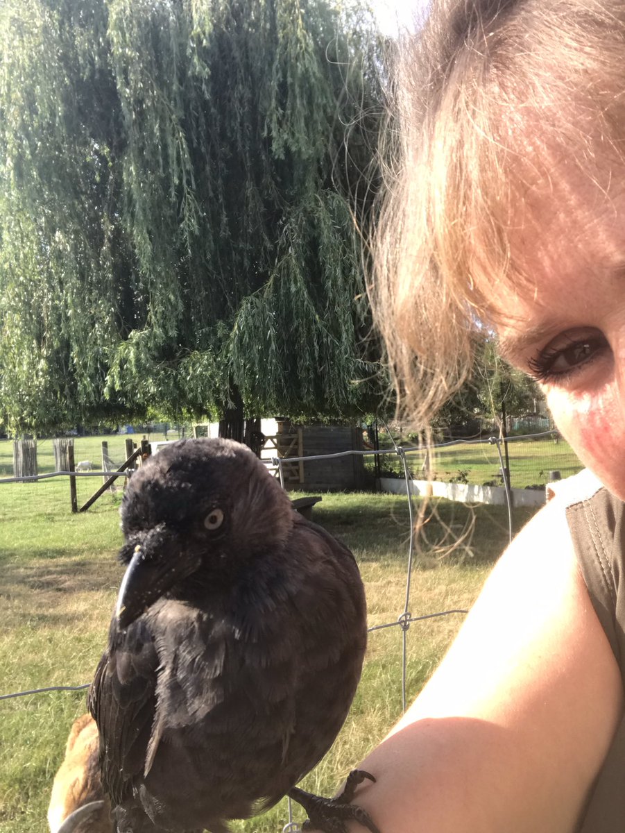 Meredith 🌱 tweet media