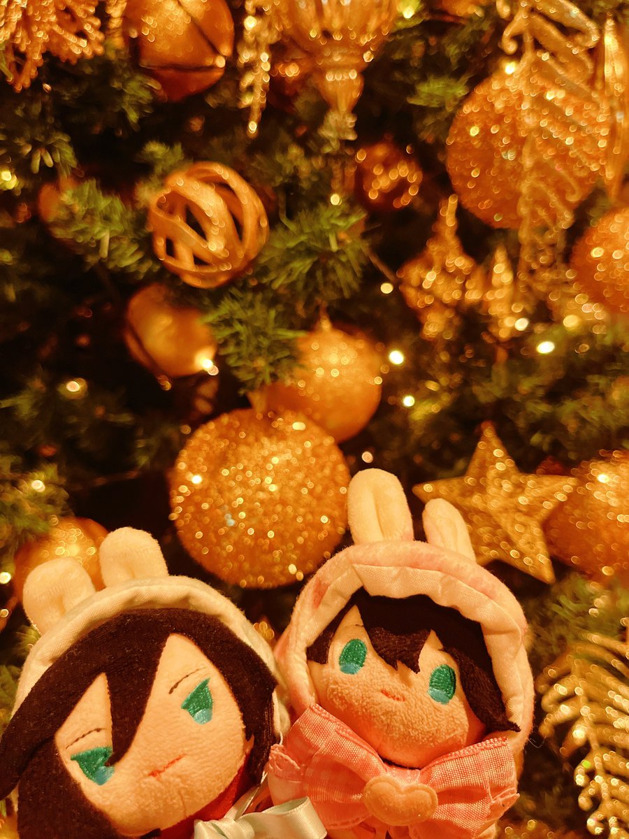mochholic's tweet photo. 🎄 https://t.co/xXfzWzbHV2
