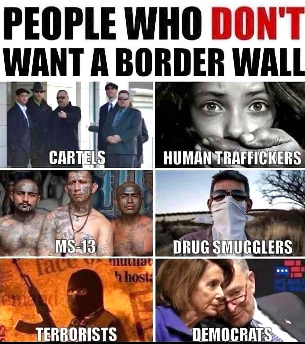angrifrog's tweet photo. Build the wall https://t.co/P40kAv5jMR