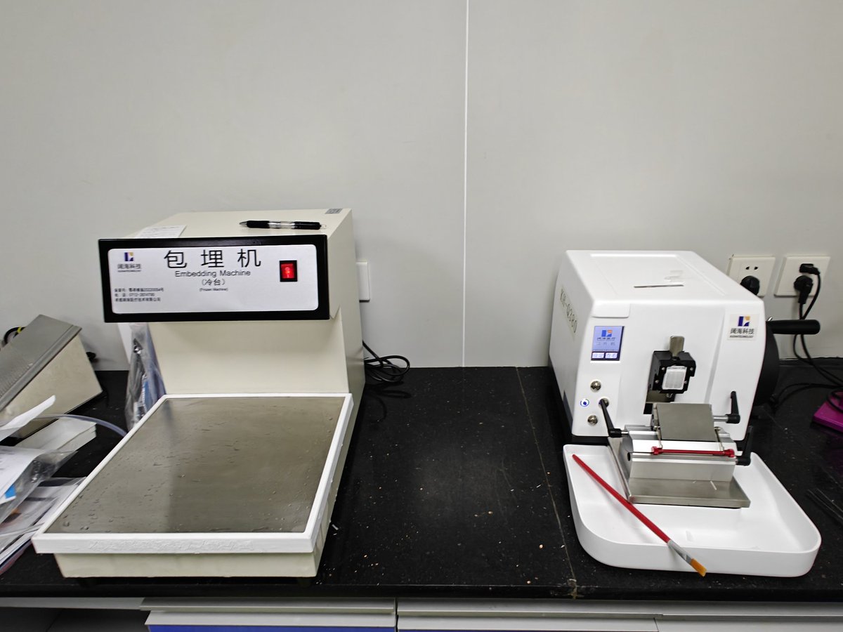 Kuohai_Medical's tweet image. A new histopathology laboratory is being installing
#histopathologyinstrument #automatedrotarymicrotome #vacuumtissueprocessor #coolingplate #tissueembeddingcenter #tissueslidewaterbath #slidedryer #slidewarmer