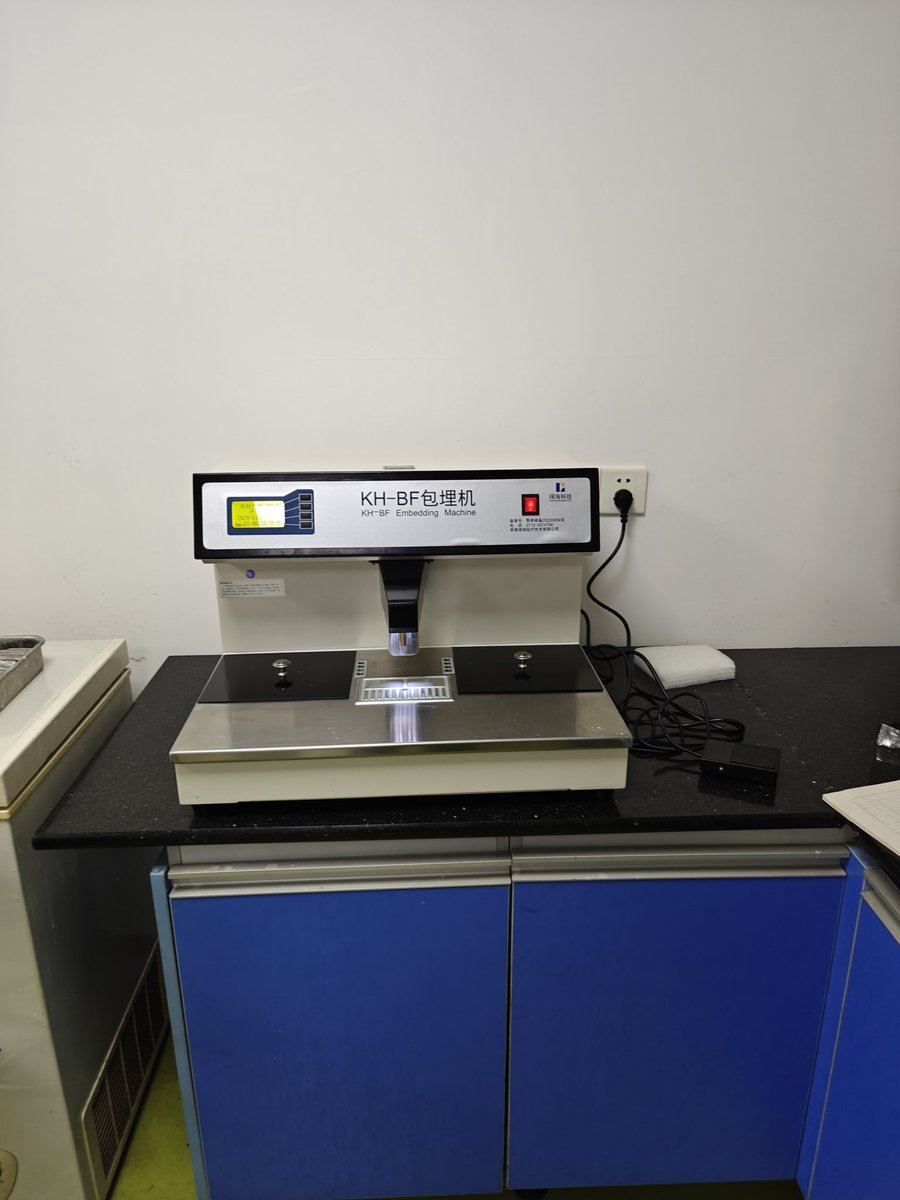 Kuohai_Medical's tweet image. A new histopathology laboratory is being installing
#histopathologyinstrument #automatedrotarymicrotome #vacuumtissueprocessor #coolingplate #tissueembeddingcenter #tissueslidewaterbath #slidedryer #slidewarmer