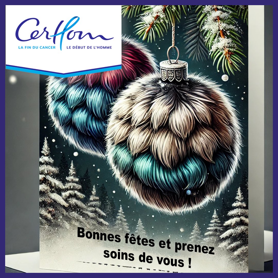 🎄✨ CerHom vous souhaite de très belles fêtes de fin d’année ! ✨🎄
Merci pour votre soutien cette année. Passez des moments joyeux et pleins d’espoir avec vos proches. 💙
Rendez-vous en 2025 pour continuer à avancer ensemble ! 🎅
#CerHom #Solidarité #SantéMasculine