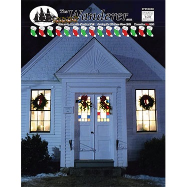 The Wanderer tweet media