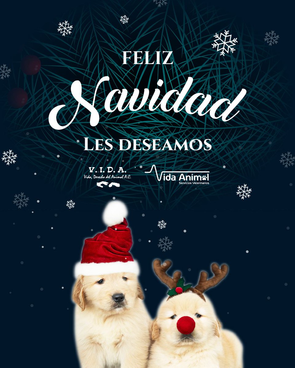 vida_ac's tweet photo. https://t.co/8sSj6YuU43