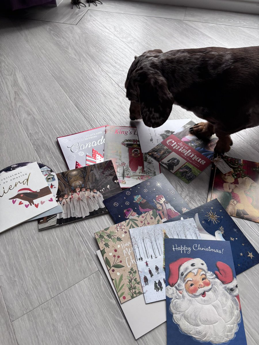 Sausage Neil tweet media