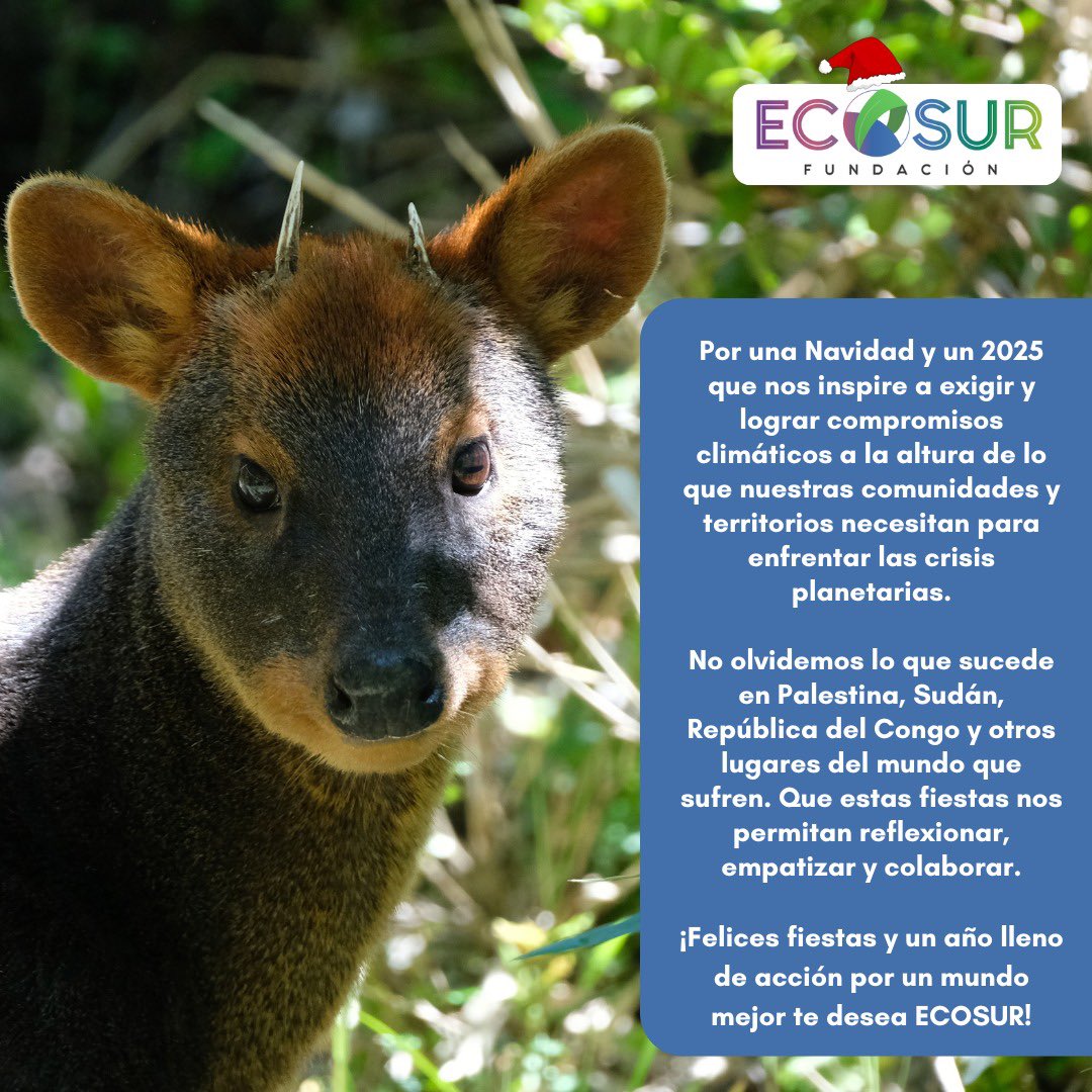 Fundación Ecosur tweet media