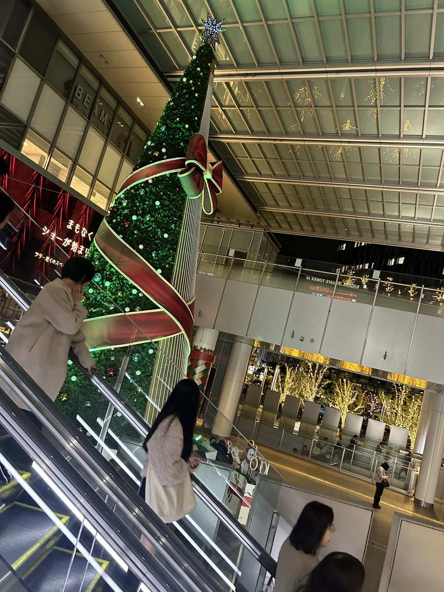 ⸜ 🎄𝑀𝑒𝑟𝑟𝑦𝑋'𝑚𝑎𝑠🎅🏼⸝‍プレ企画✨

ネパレンシスコクワ WF1 ペア 
チベット自治区 シガツェ市 チェンタン 

1名様にプレゼントします🎅🏻🎀

応募方法はフォローとリポストのみで完了です！ 
是非是非ご参加下さい💞

※明日25日24時〆切
※岐阜から送料着払い

みんなチキン食べてるー？😚🍗