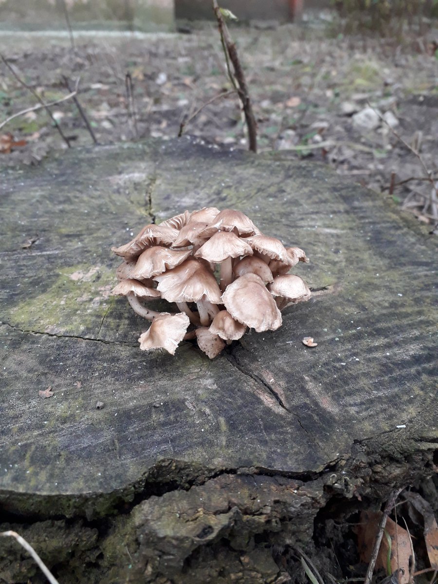 const07's tweet image. 23.11.2024