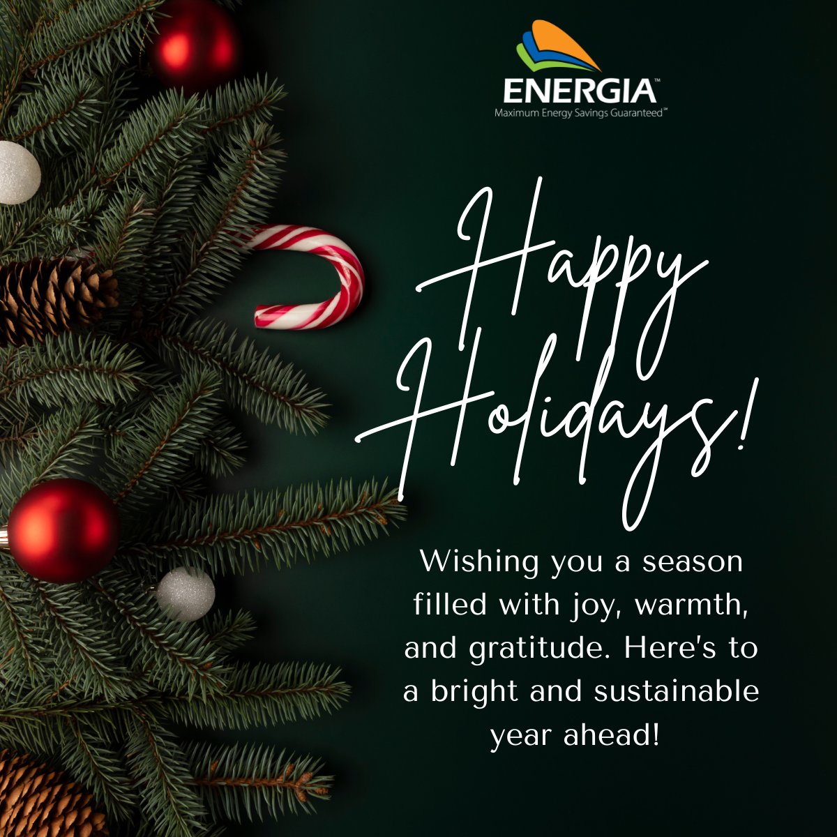 As the year ends, we’re grateful for your partnership and trust. Your support drives us to create brighter, sustainable futures. Wishing you warmth, joy, and success in the year ahead! Happy Holidays! 🌟 
#ThankYou #HappyNewYear