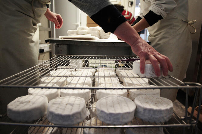 Alain Schuhl (@alainschuhl) on Twitter photo Top stories 2024 <a href="/CNRS/">CNRS 🌍</a>
Les fromages seraient en voie d’extinction
lejournal.cnrs.fr/articles/le-ro… Afin de produire des fromages en grande quantité, des souches de champignons ont été sélectionnés. La diversité de micro-organismes est devenue pauvre
Ils ne peuvent plus se reproduire ! Top stories 2024 <a href="/CNRS/">CNRS 🌍</a>
Les fromages seraient en voie d’extinction
lejournal.cnrs.fr/articles/le-ro… Afin de produire des fromages en grande quantité, des souches de champignons ont été sélectionnés. La diversité de micro-organismes est devenue pauvre
Ils ne peuvent plus se reproduire !