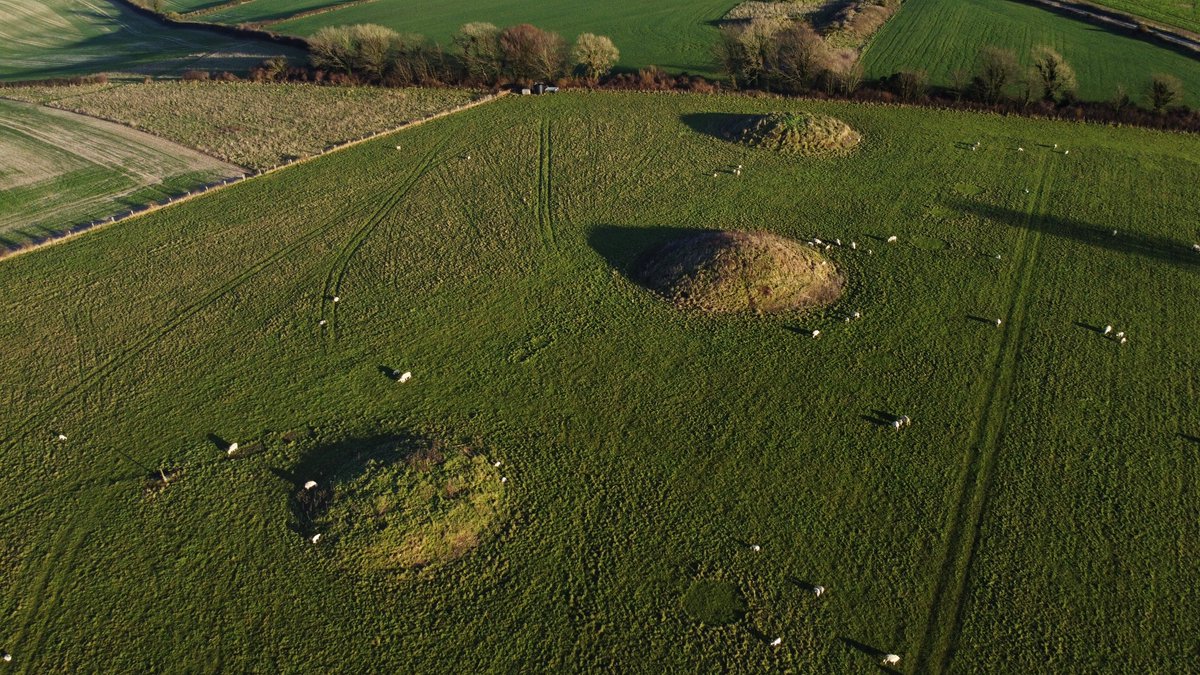 Forest:Archaic Collective tweet media