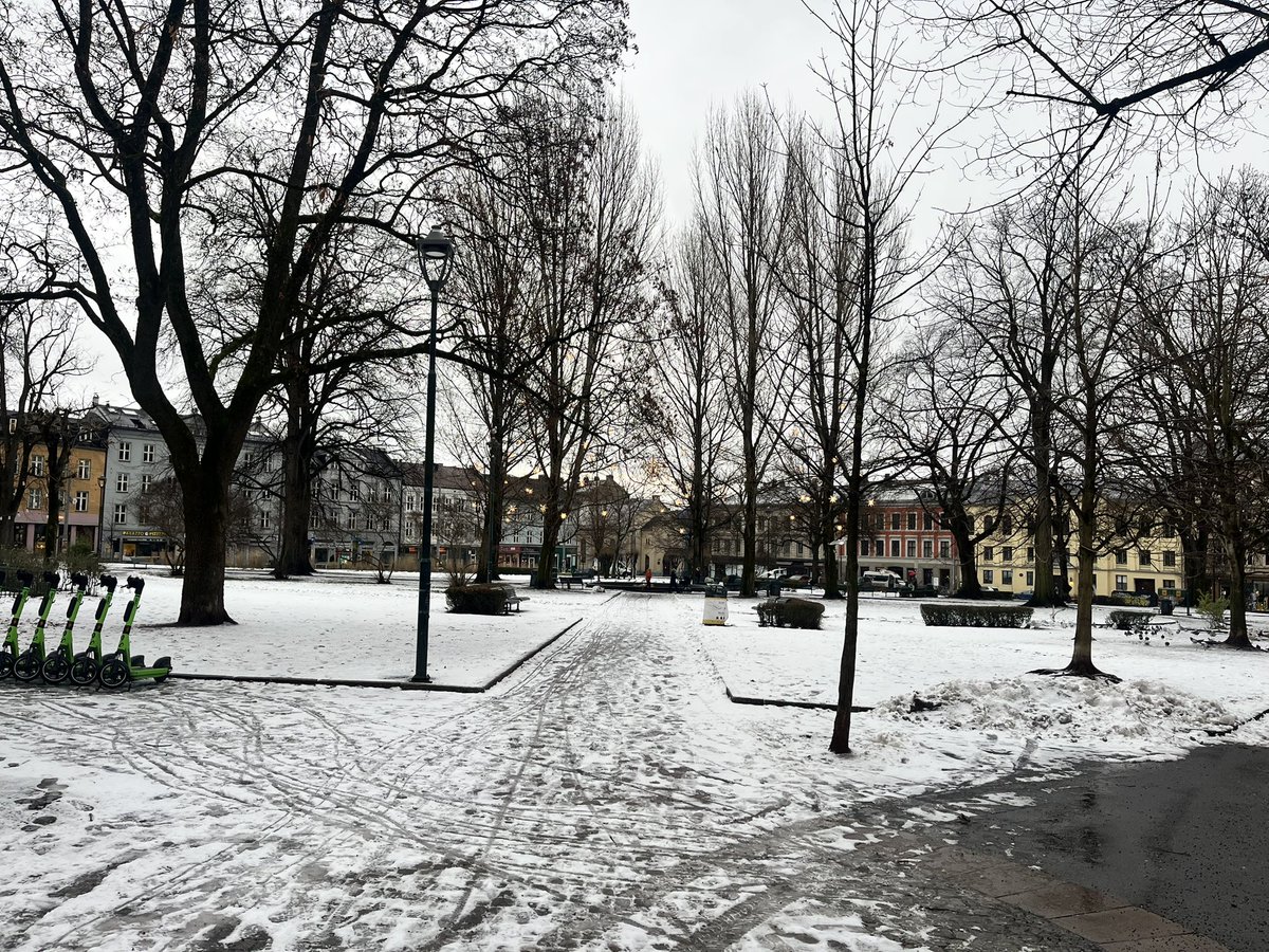 Lewis Goodall tweet media