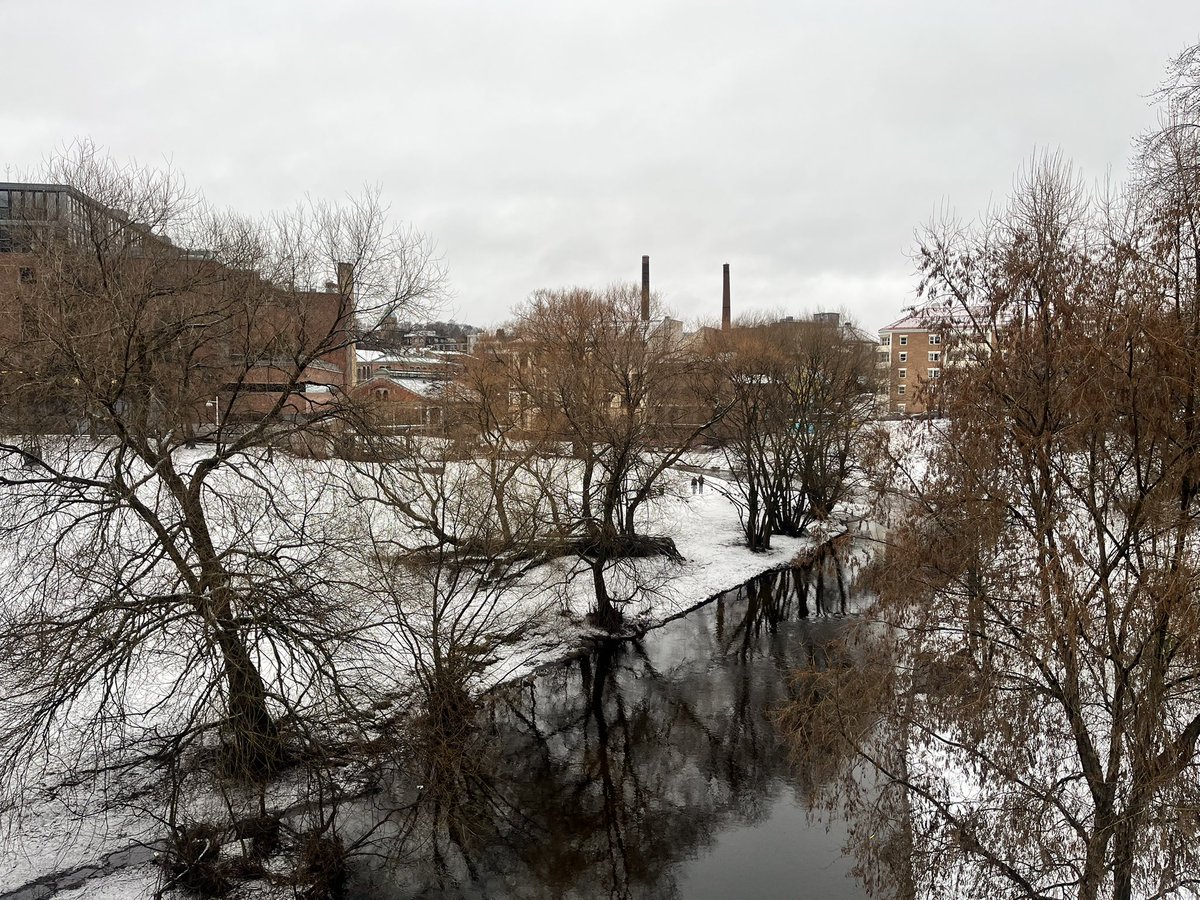 Lewis Goodall tweet media