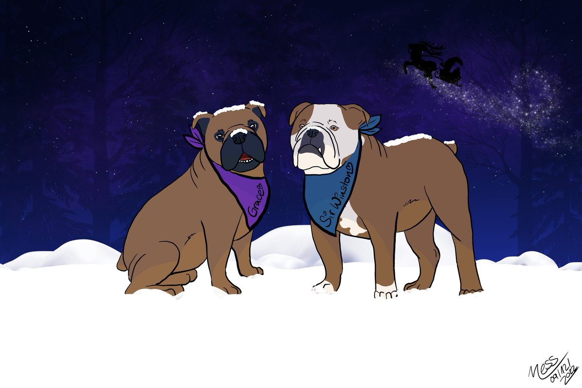 Wir wünschen allen unseren Freunden frohe Weihnachten!