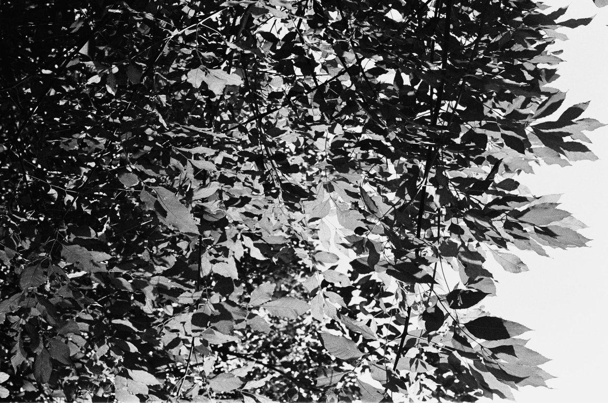 _______nyj's tweet image. Dos Inviernos (2022 / 2023)

#35mm #visualjournal