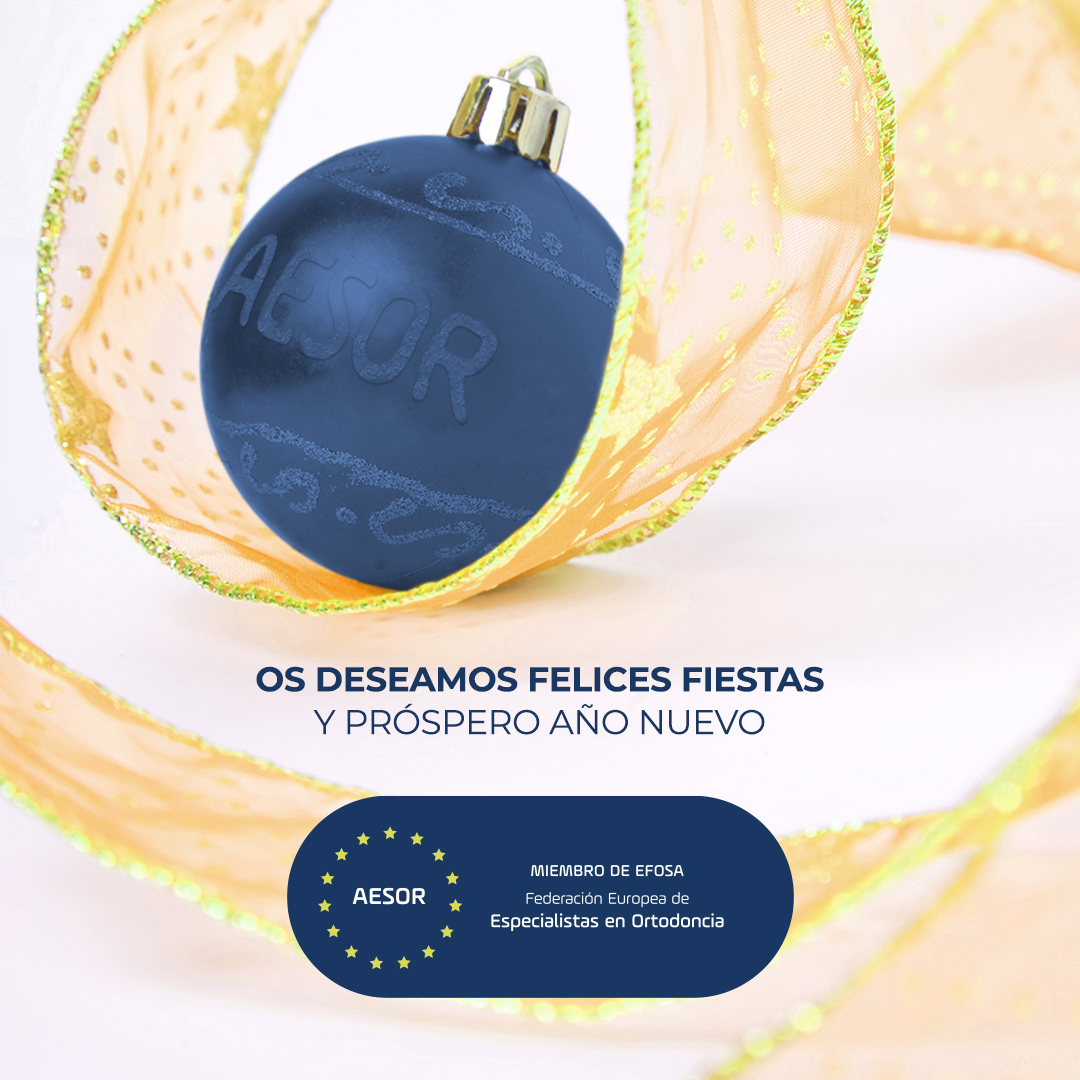 Desde AESOR, queremos desearos Feliz Navidad. 🎄

¡Esperamos que disfrutéis de unas felices fiestas! 😊