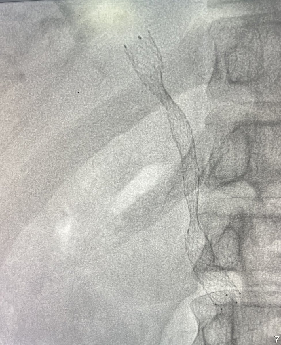 Pulkit Rangarh tweet media