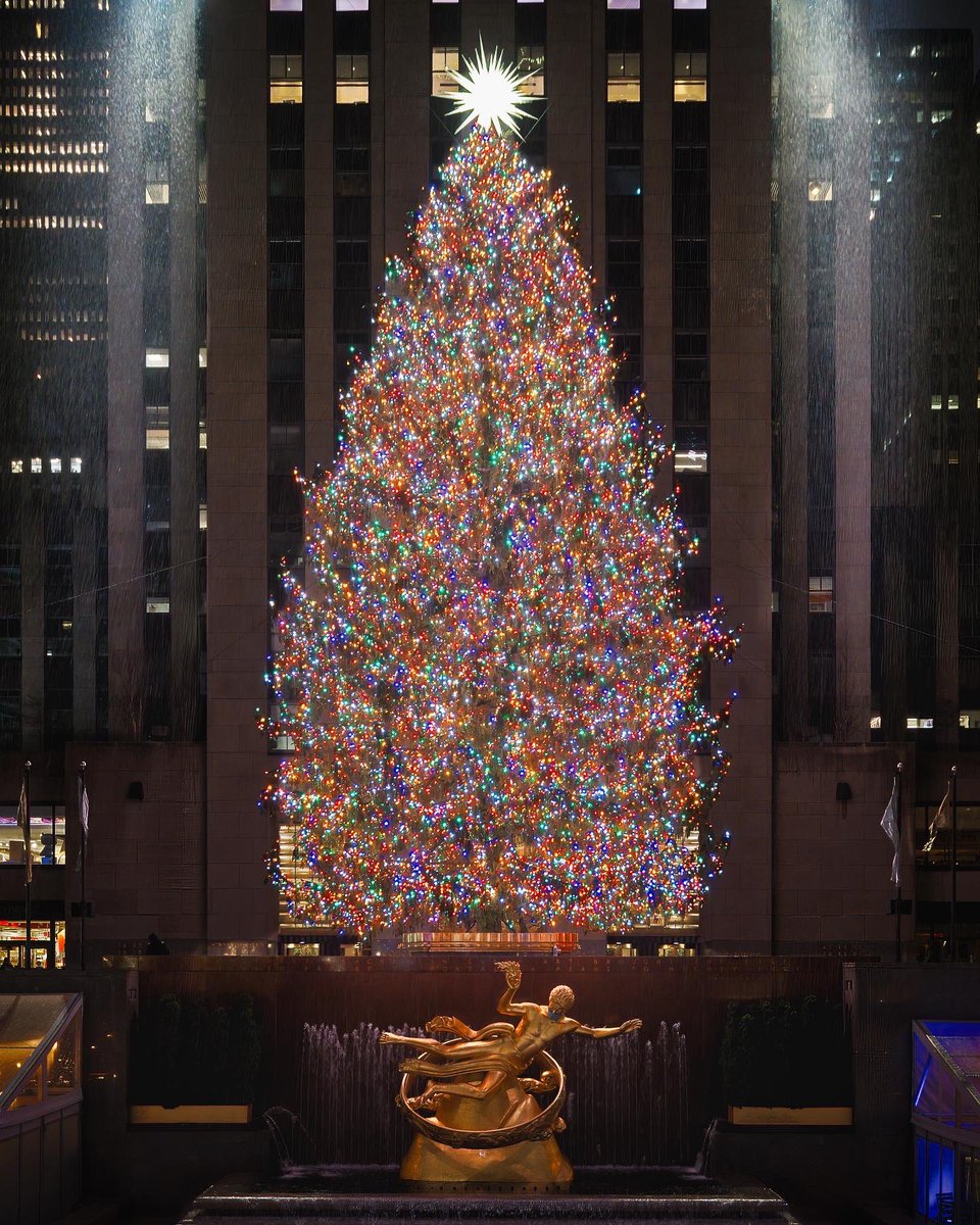 Paul Seibert tweet media