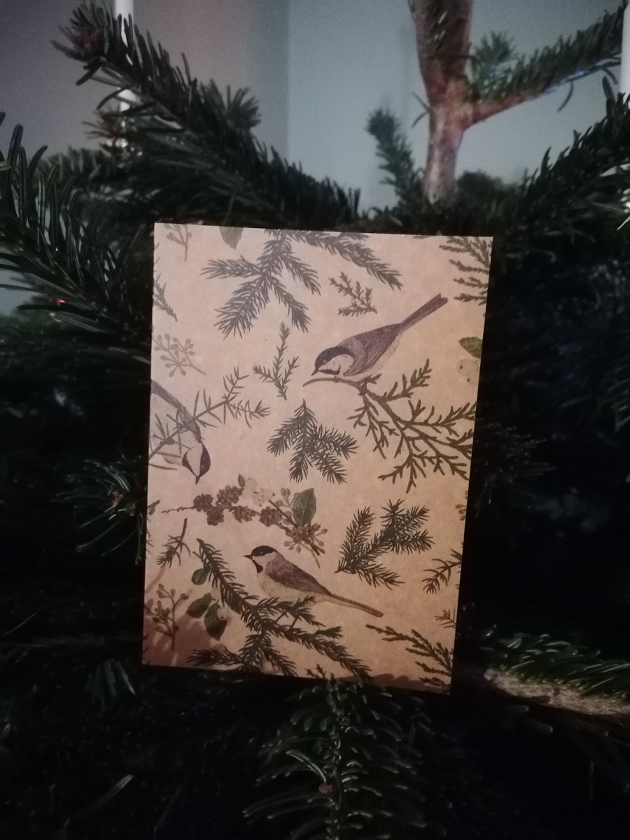 nenziii's tweet photo. Paldies @Masa_Nakts par skaisto kartīti. Lai priecīgi svētki! 🎄 #tviteristuziemassvētki2024 https://t.co/UkdzKFWvxW
