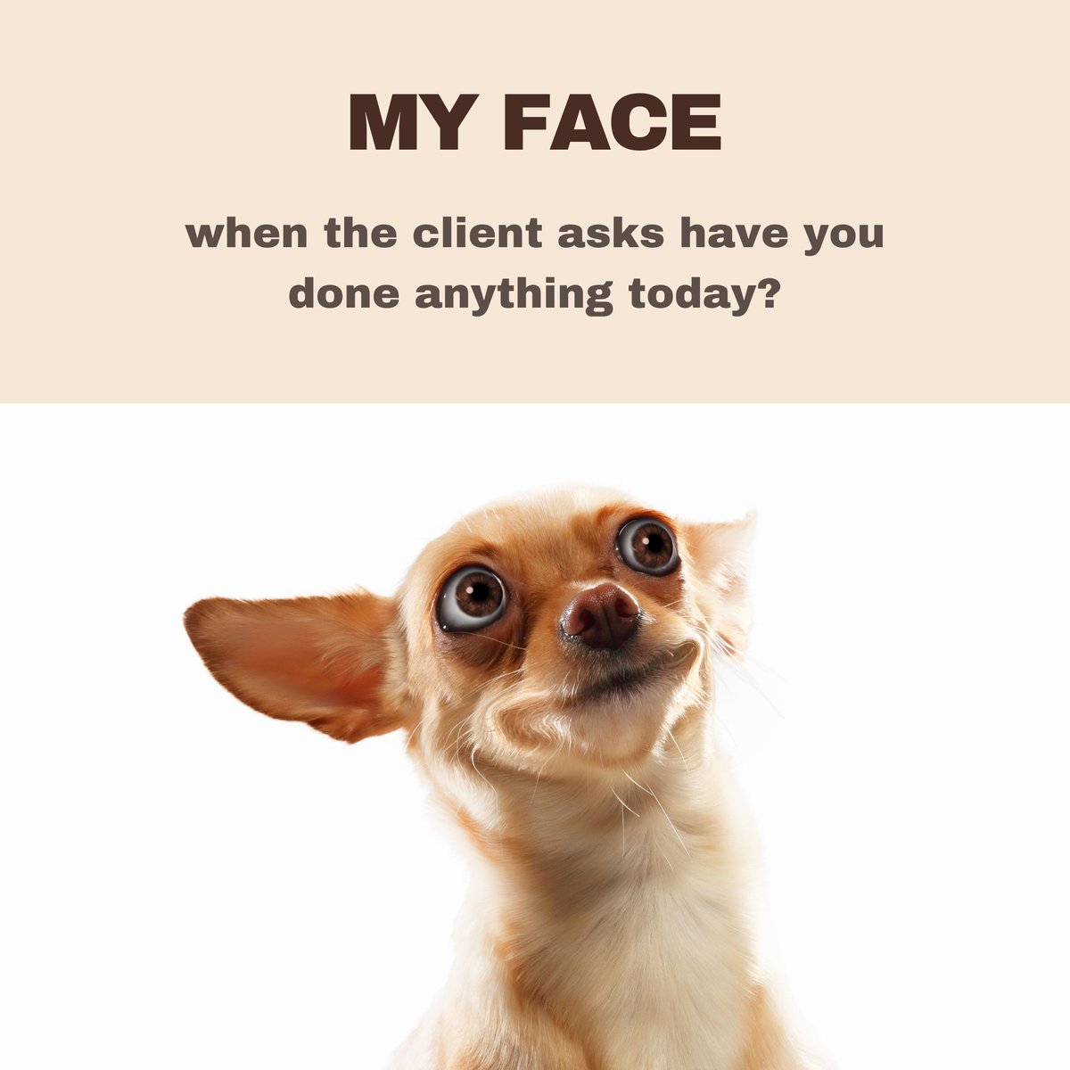 Werbooz Private Limited tweet media