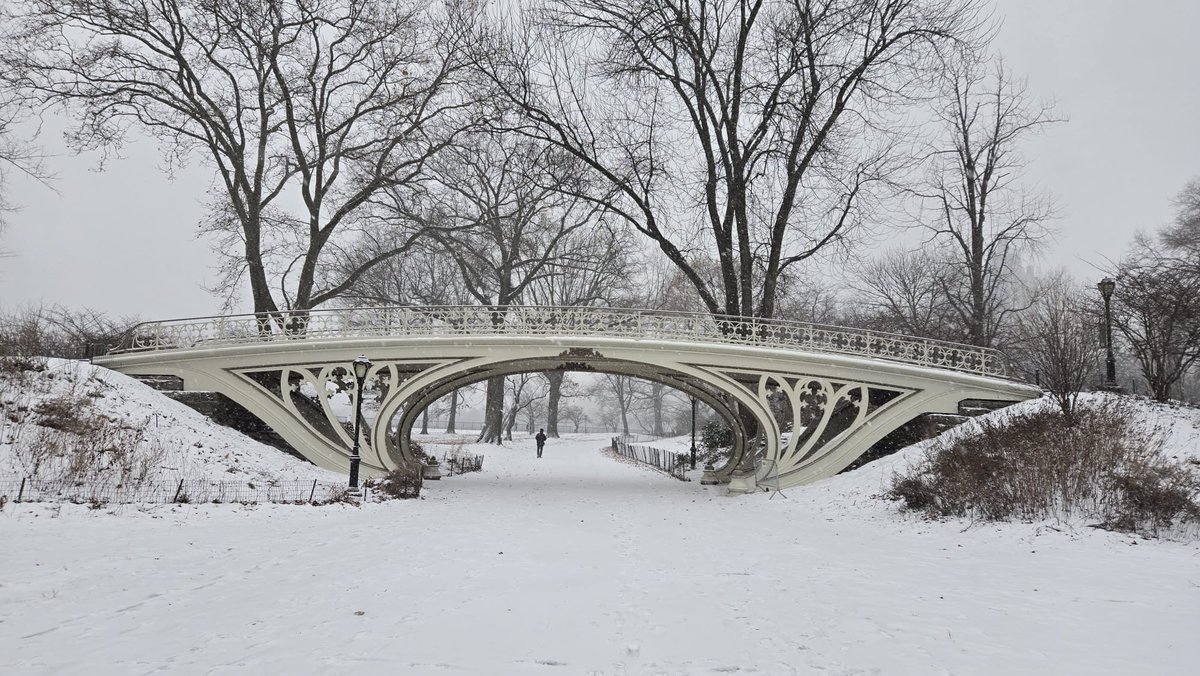 Florian Krammer tweet media