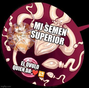 bbcfuta0's tweet image. Ya que estaré respondiendo mds pronto dejaré esto por aqui.~ La gata esta regalando preñadas a domicilio.~ Si quieres una solo reclamala en md y tendrás a la gata lista para darte cuantas corridas quieras.~