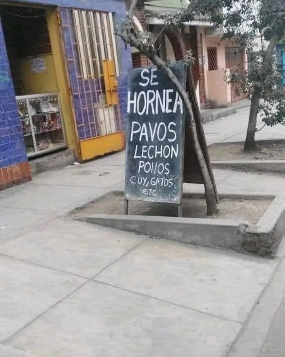 solopasaenperu's tweet image. Cuiden a sus mascotas. 😅