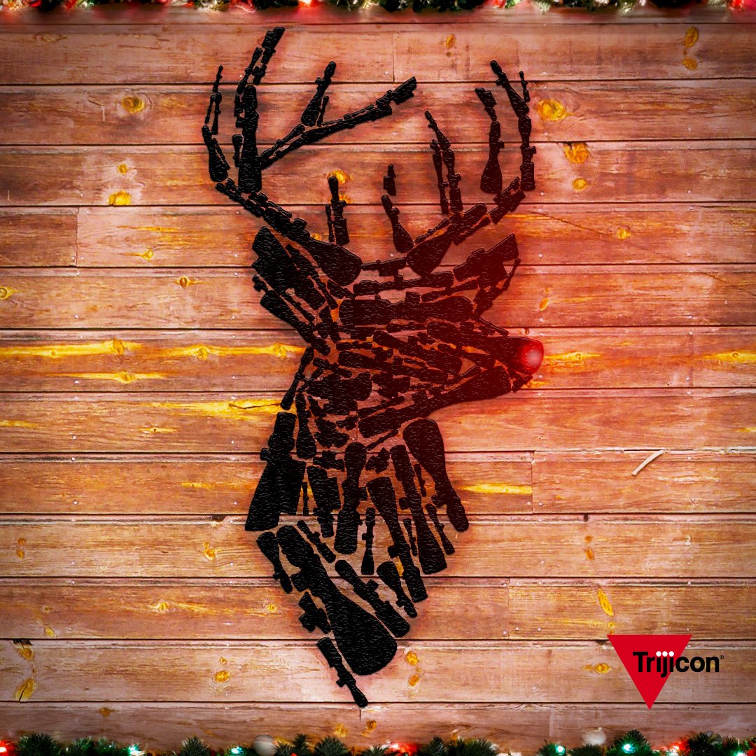 Trijicon's tweet image. Santa also uses a red dot to light the way.

#MerryChristmas #RedDot