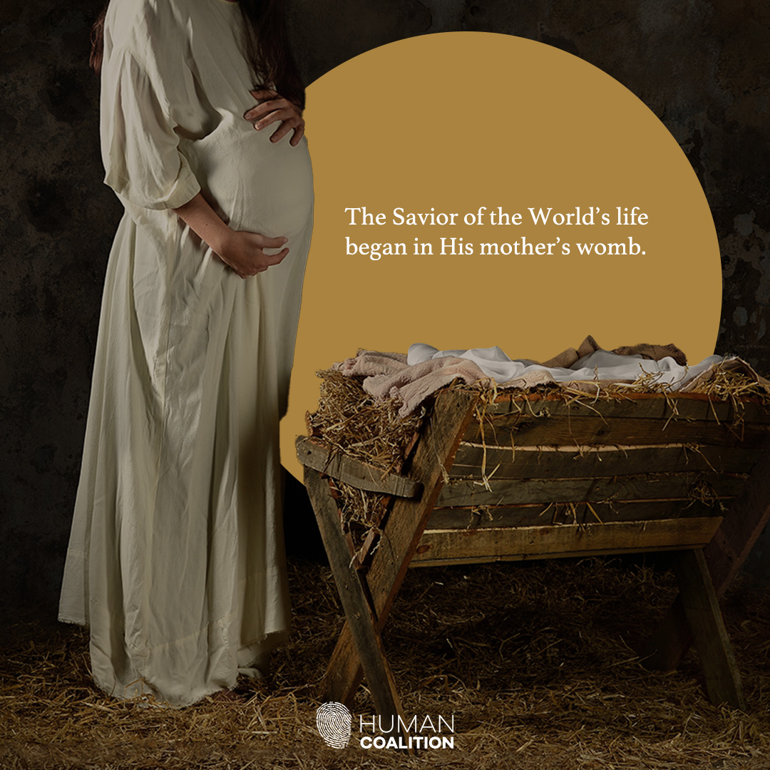 HumanCoalition's tweet image. “Behold, the virgin shall conceive and bear a son, and they shall call his name Immanuel.” Matthew 1:23 

#SaveTheBabyHumans #LifeIsAHumanRight #ValueLife #ChooseLife #EndAbortion #Abortion #ProLife