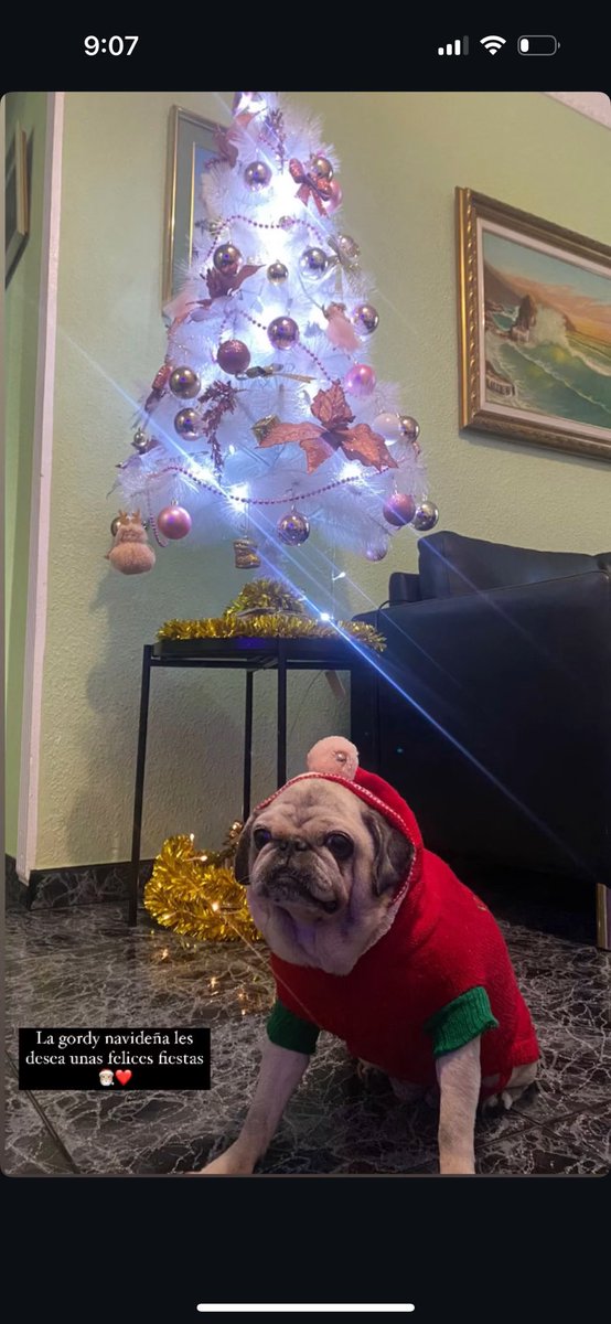 shaylamarquezz's tweet photo. Mi primera navidad sin el amor de mi vida, mi papá noela favorita, ella me dejó el mejor regalo del mundo, su recuerdo🤍✨ https://t.co/F0E1z6BW7n