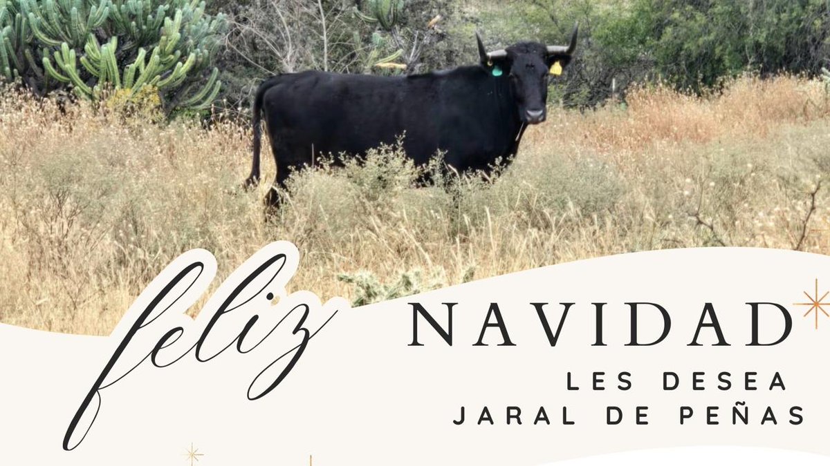 Jaral de Peñas (@dejaral) on Twitter photo 