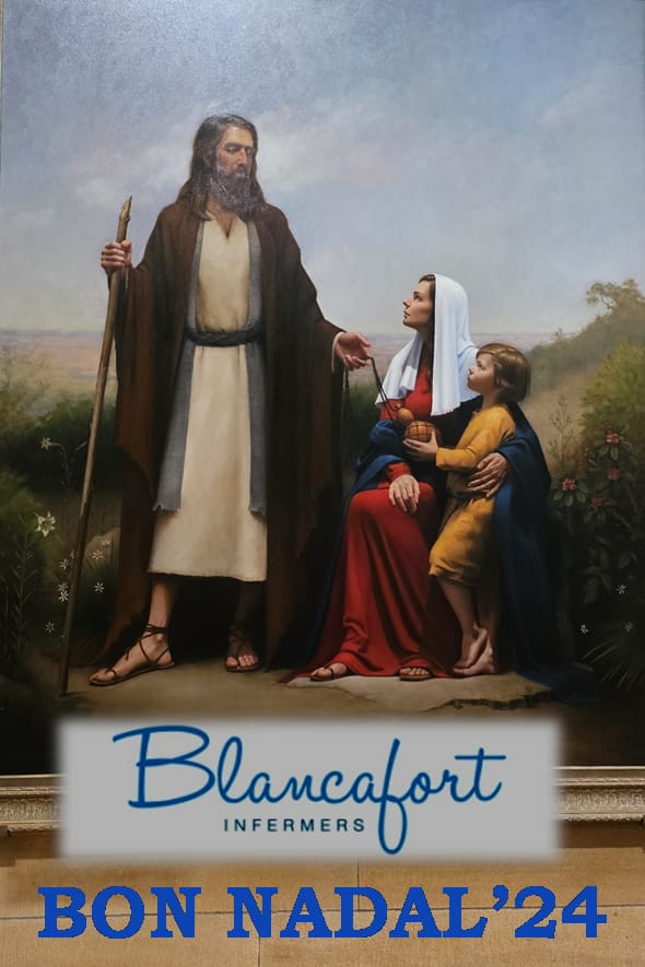 Tot l'equip us desitgem Bon Nadal i Bones Festes.