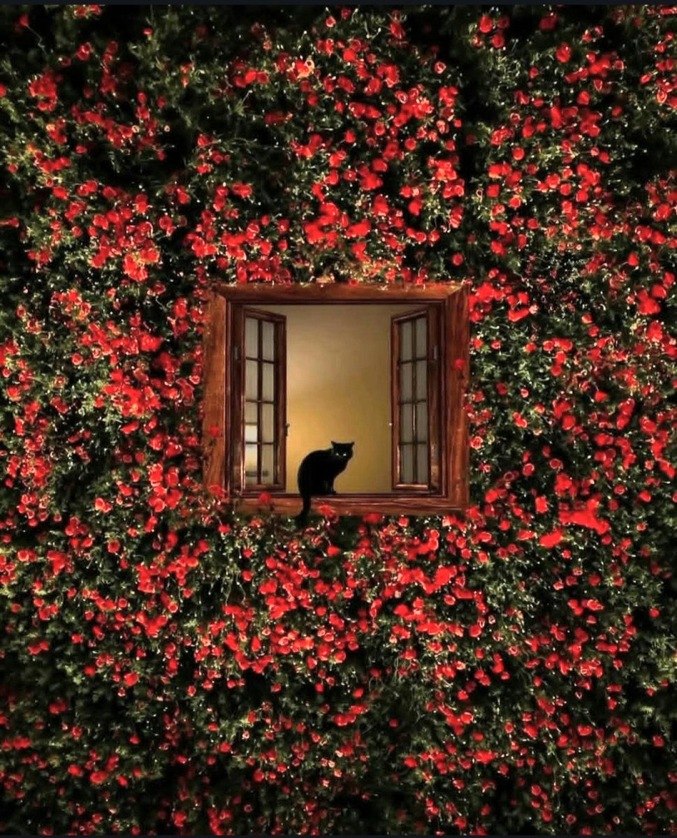 Αλέξανδρος (@ntzelepes) on Twitter photo 