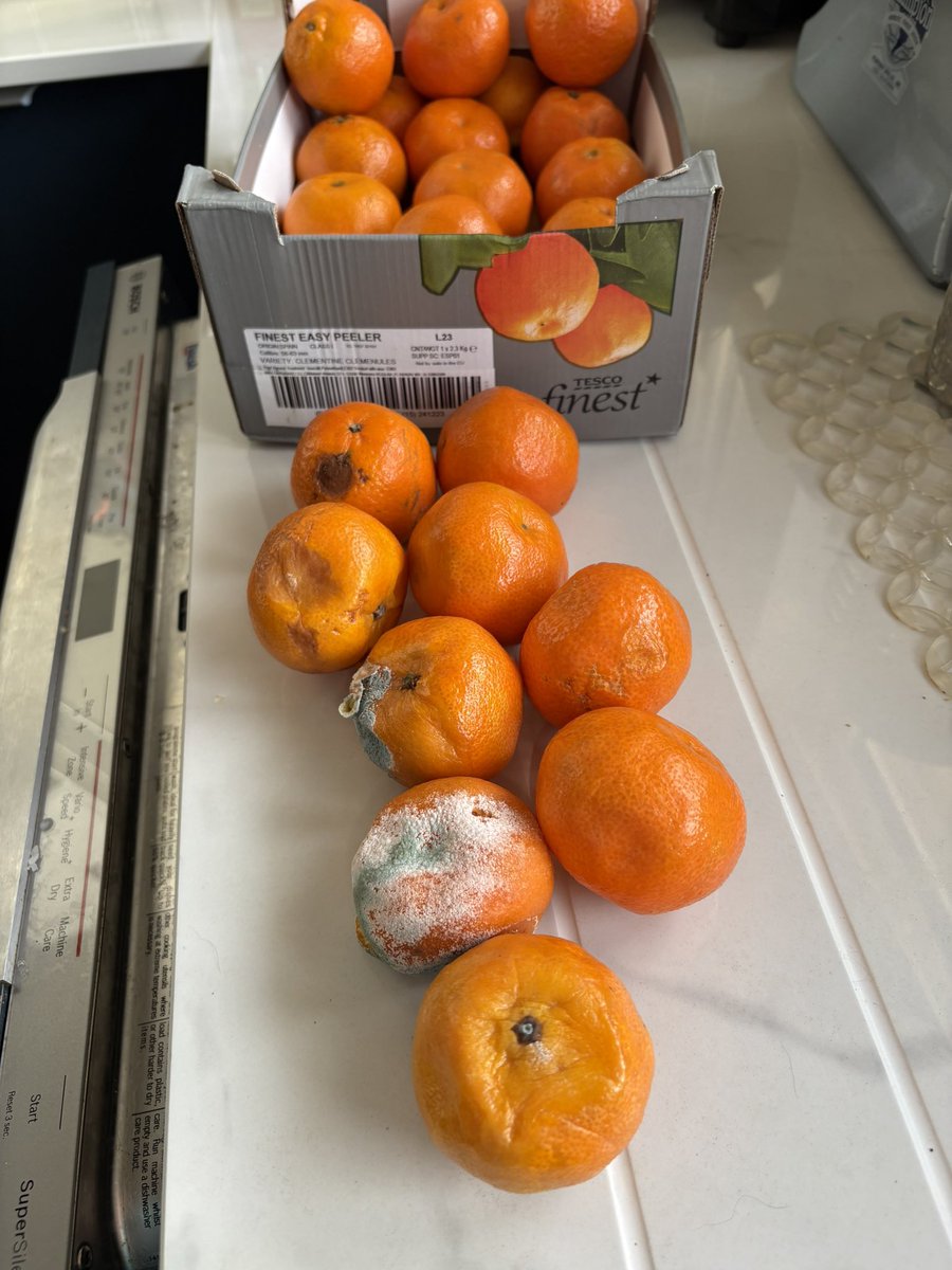 Heather Jones🏳️‍🌈🏴󠁧󠁢󠁳󠁣󠁴󠁿 tweet media