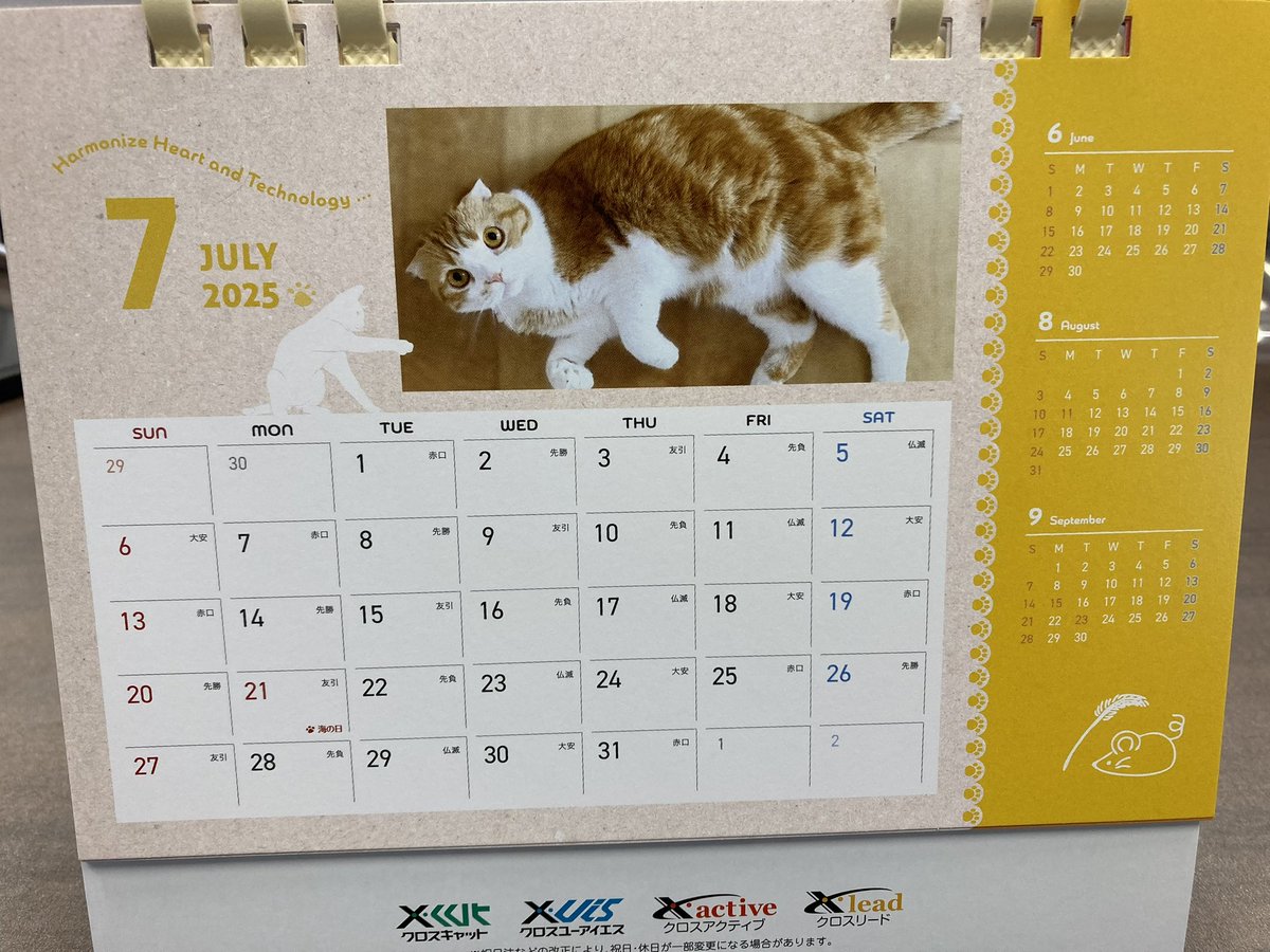 株式会社クロスキャットさんの卓上カレンダー『社員がとらえた