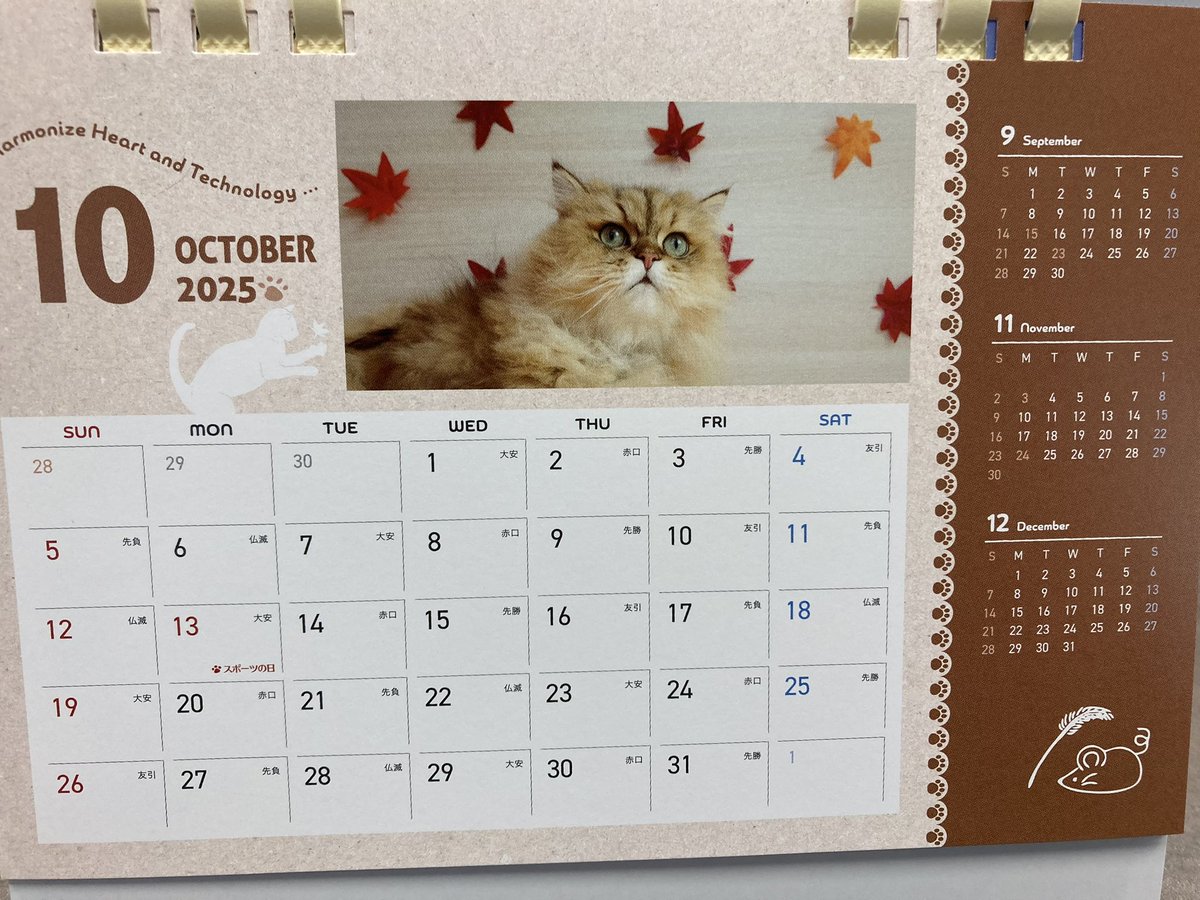 株式会社クロスキャットさんの卓上カレンダー『社員がとらえた