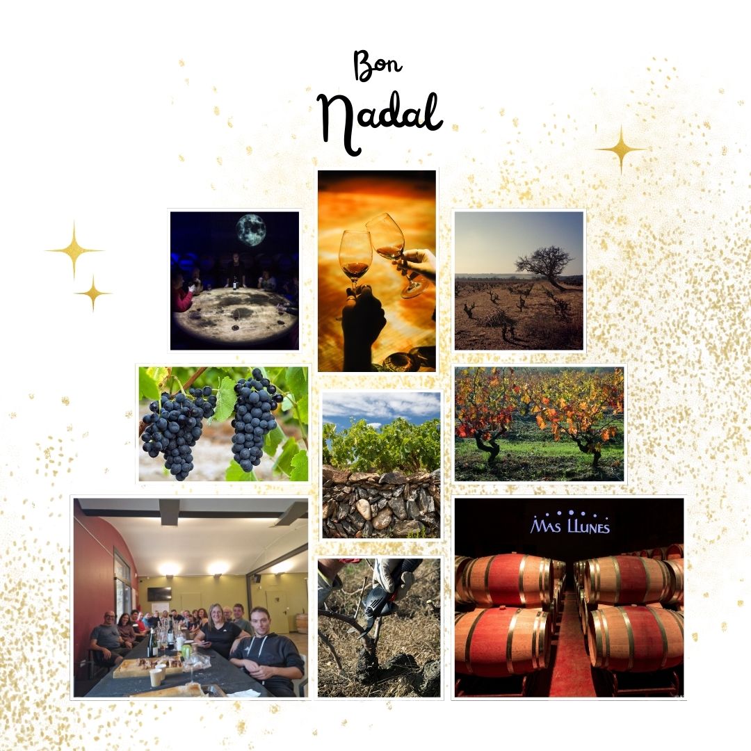 Bones Festes de part de tot l'equip! Que aquest temps de celebració estigui ple de moments especials, bons vins i les millors companyies. Us desitgem un 2025 ple de salut i felicitat! 🍇✨