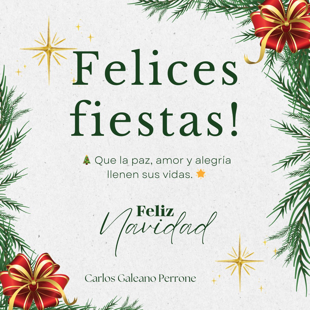 Felices fiestas de Navidad y que el niño Dios, ilumine y bendiga a cada hogar Paraguayo!