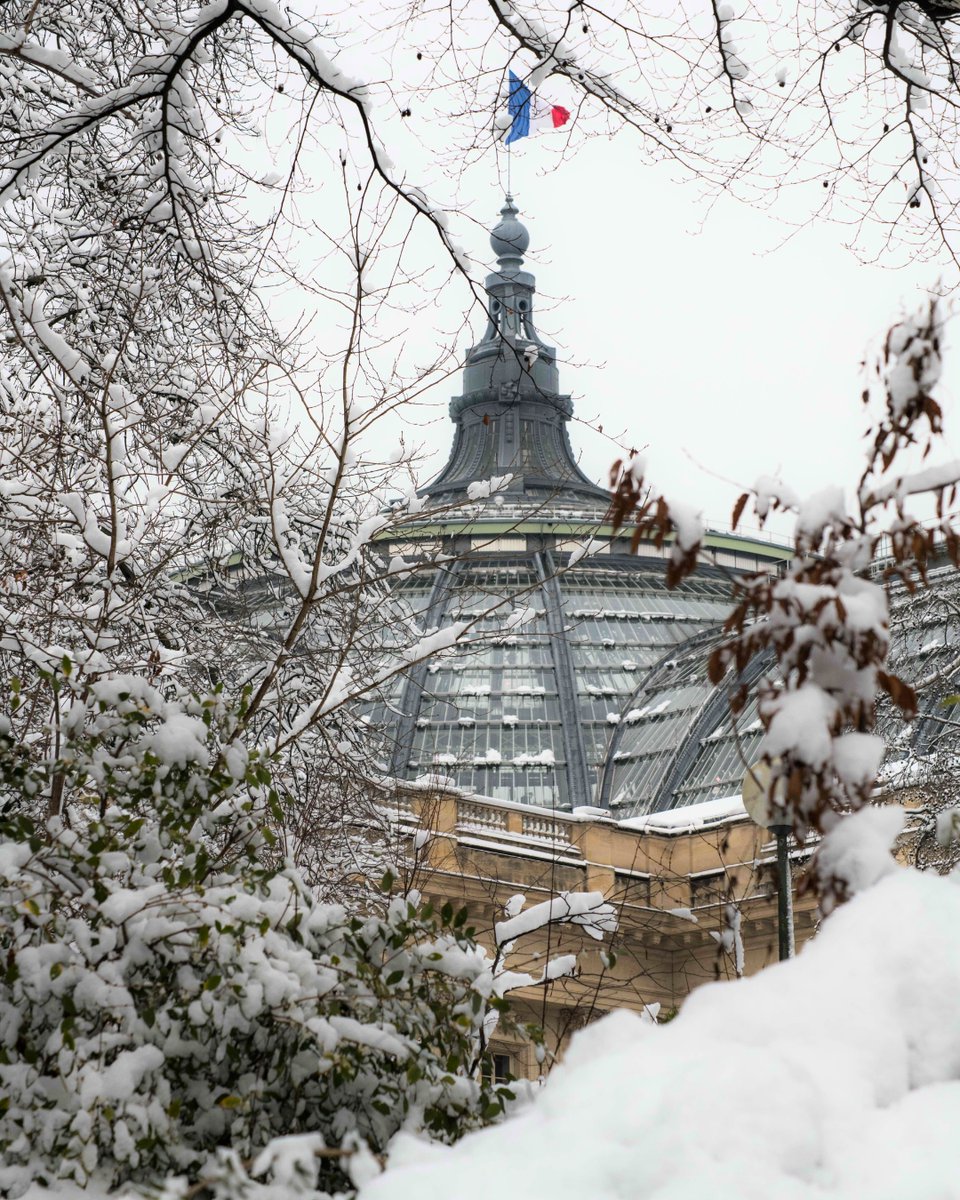 Le Grand Palais vous souhaite un joyeux Noël ! 🎄
Retrouvez l'esprit des fêtes avec cette image du monument enneigé, capturée il y a quelques années 🫶