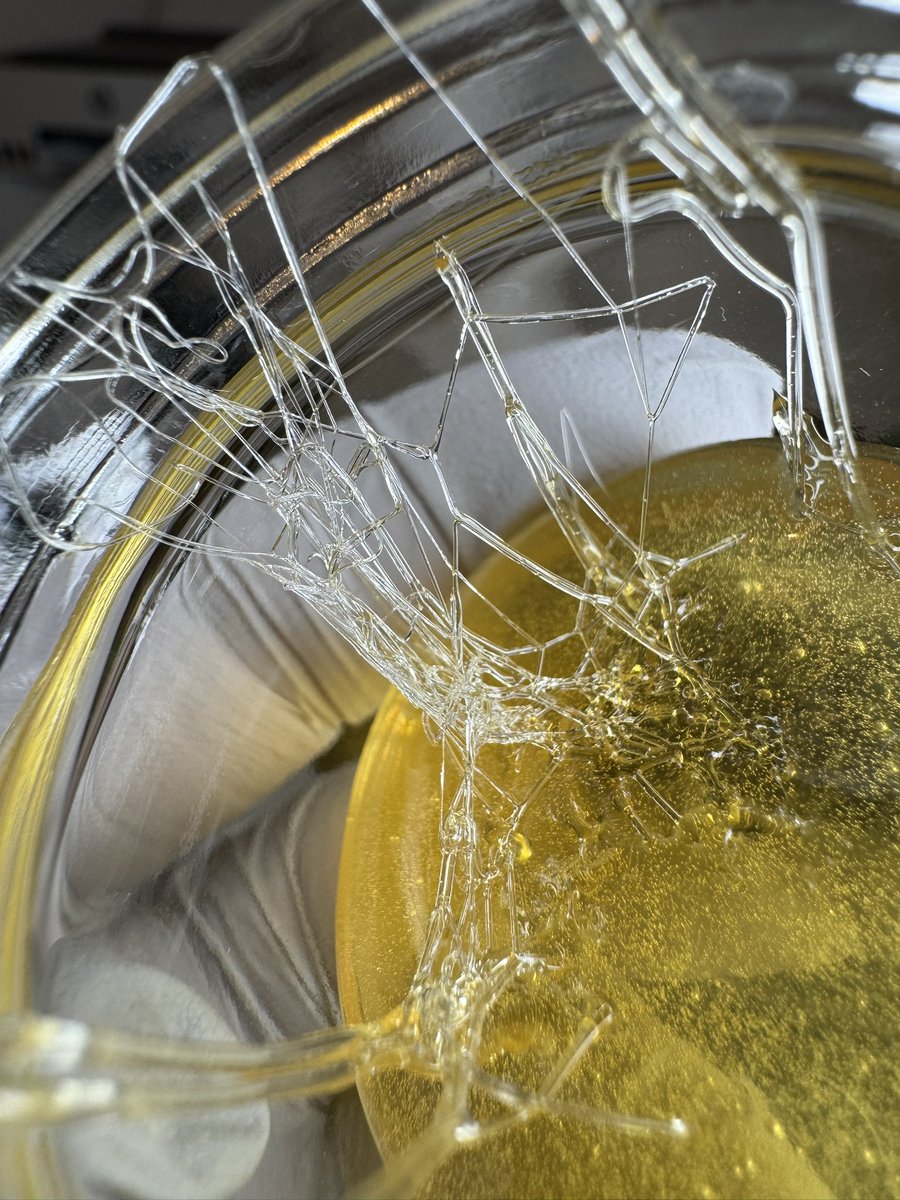 Trusted_mpls tweet media