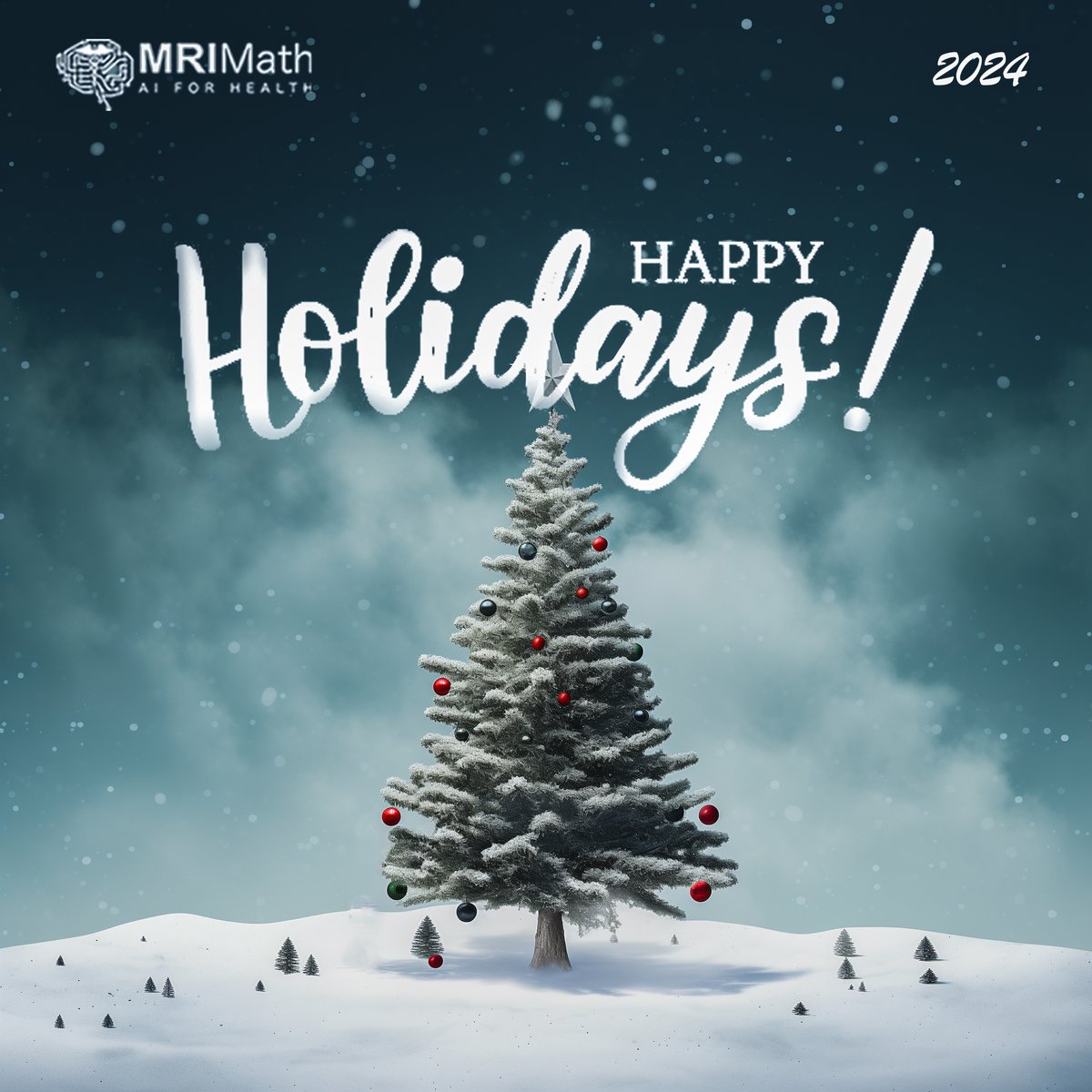 Happy Holidays from all of us at MRIMath!

🎄 Wishing you a joyful Christmas and a prosperous New Year! 🎄

#christmas #newyear #holidays
