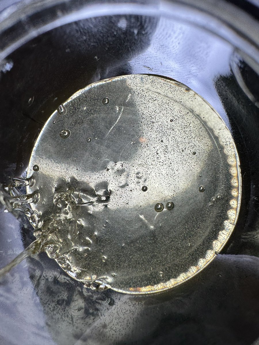 Trusted_mpls tweet media