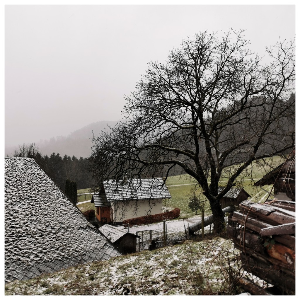 Wishing you all
Happy Holidays

with impressions from Freiburg and the Black Forest

#visitfreiburg #freiburg #schwarzwald #blackforest #christmas #holidays #christmasmarket #letitsnow
