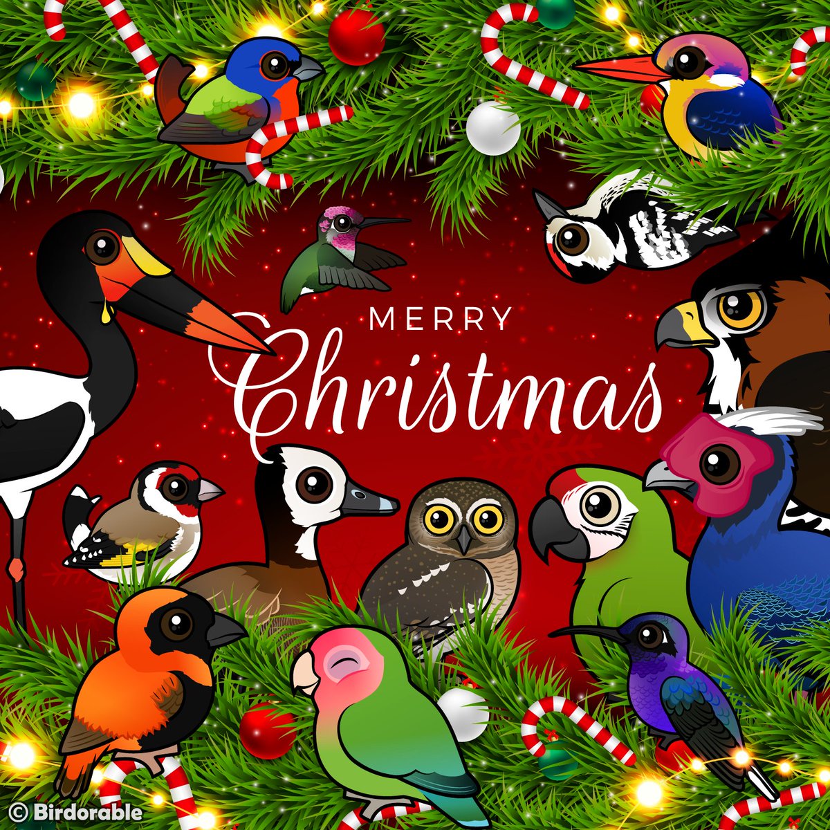 Merry Christmas
🎄🕊️❄️🦜🎁🦩🌟🦉🎉